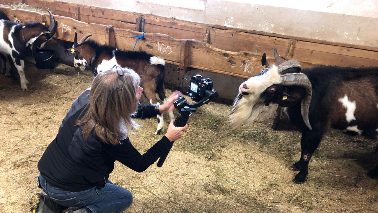 Kamerafrau Gabriele Hanke beim Filmen einer Ziege