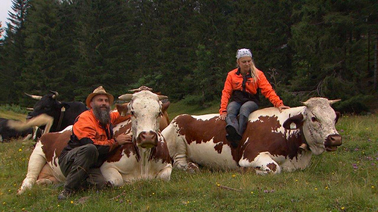 Sissy und Tom Strubreiter mit ihren Pustertaler Sprintzen-Rindern