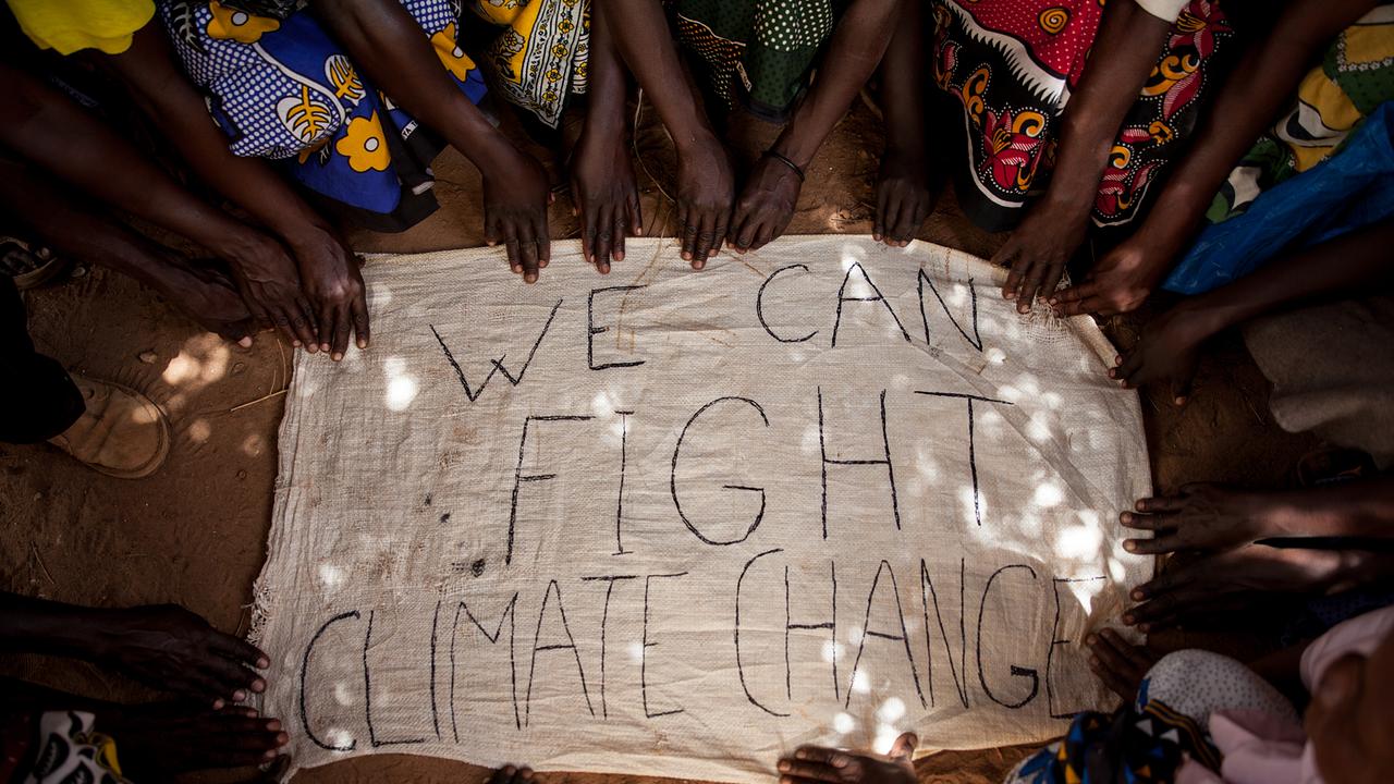 "Wir können den Klimawandel bekämpfen" Kisilus  Gruppe benennt Stellung