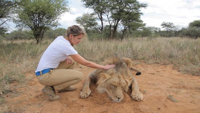 Die französische Reporterin Olivia Mokiejewski mit einem erlegten Löwen in Südafrika