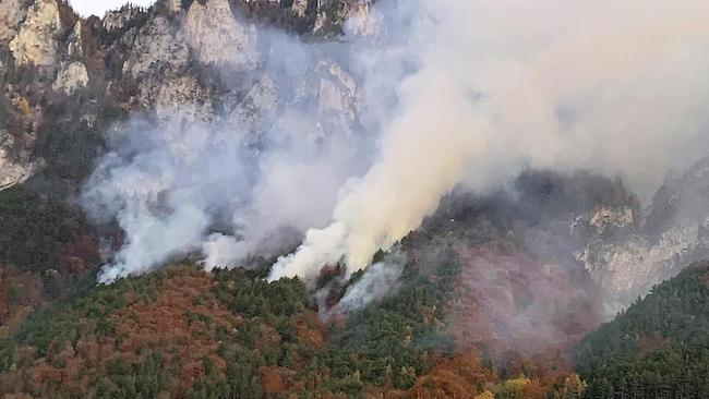 Wälder in Flammen: Warum wir uns an Brände gewöhnen werden müssen