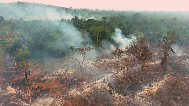 Zwischen Jänner und Juni 2022 wurden fast 4.000 Quadratkilometer Amazonas-Regenwald zerstört - das entspricht der Fläche des Burgenlands. Allein im Juni wurden über 2500 Brände registriert