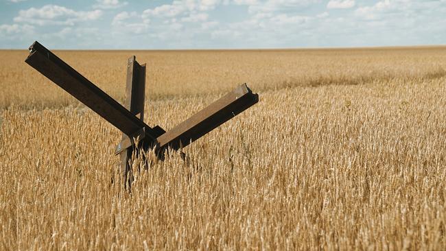 Der Krieg in der Ukraine, einem der wichtigsten Weizenanbauländer der Erde, führt zu Hunger in vielen weit entfernten Ländern