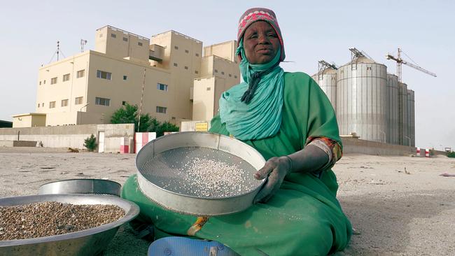 In Nuakschott in Mauretanien lesen Frauen den Weizen, der vom Lastwagen geweht wird, von der Straße auf für ihre Kinder