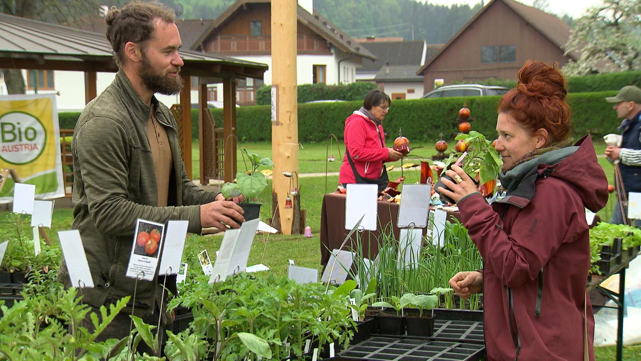 Besucherinnen und Besucher am Pflanzenmarkt in Langeck