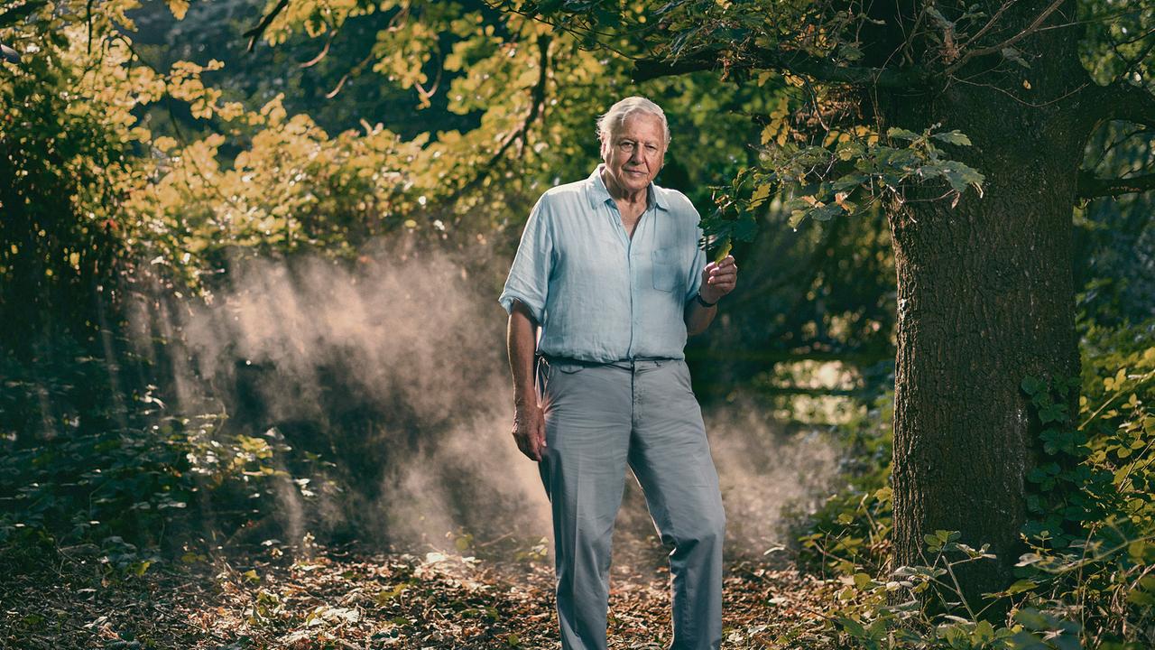 Der heute 97-jährige Sir David Attenborough hat als Natur- und Tierfilmer im Auftrag der BBC die ganze Welt bereist