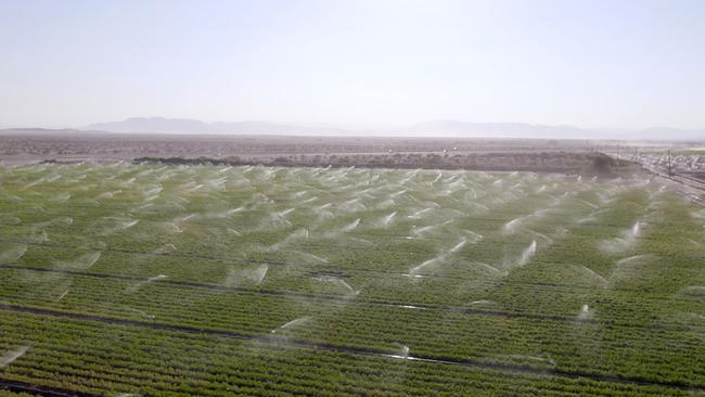 Imperial Irrigation District, mitten in der Wüste gelegen, ist einer der größten landwirtschaftlichen Regionen Nordamerikas. Jedes Jahr werden hier rund 3.7 Billionen Liter für die Bewässerung verbraucht.