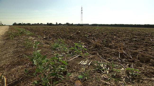 Macht der BürgermeisterInnen: Ein Amt mit Image- und Nachwuchsproblem 