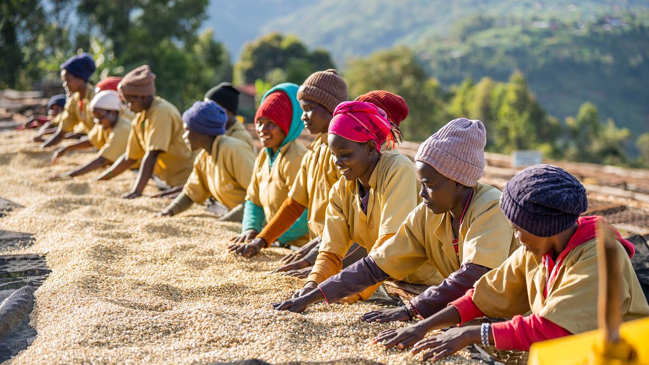 Ruanda: Kaffee-Arbeiterinnen 