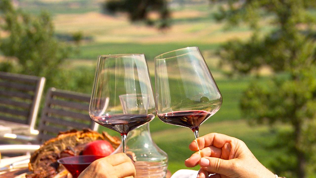 Zwei Weingläser mit Blaufränkisch Wein stoßen in den burgenländischen Weinbergen an