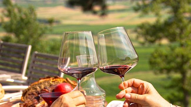 Zwei Weingläser mit Blaufränkisch Wein stoßen in den burgenländischen Weinbergen an