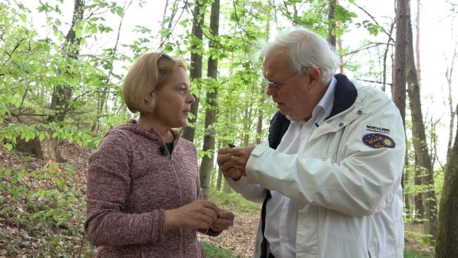 Korrespondent Christian Wehrschütz trifft Nevenka Lukic-Rojsek, sie ist eine Vertreterin der Naturschutzorganisation "Alpe-Green-Adria" 