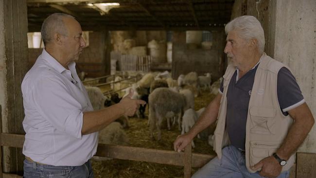 Rocco ist nach 30 Jahren aus Frankreich in seine Heimat Kalabrien-zurückgekehrt. Weil er künftig Pecorino-Käse exportieren will, besucht er lokale Produzenten. 