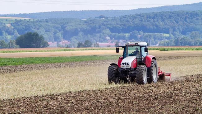 Kreuzweh am Acker - verhindern hohe Pachtpreise nachhaltige Landwirtschaft? 