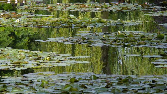 Monet-Garten in Giverny