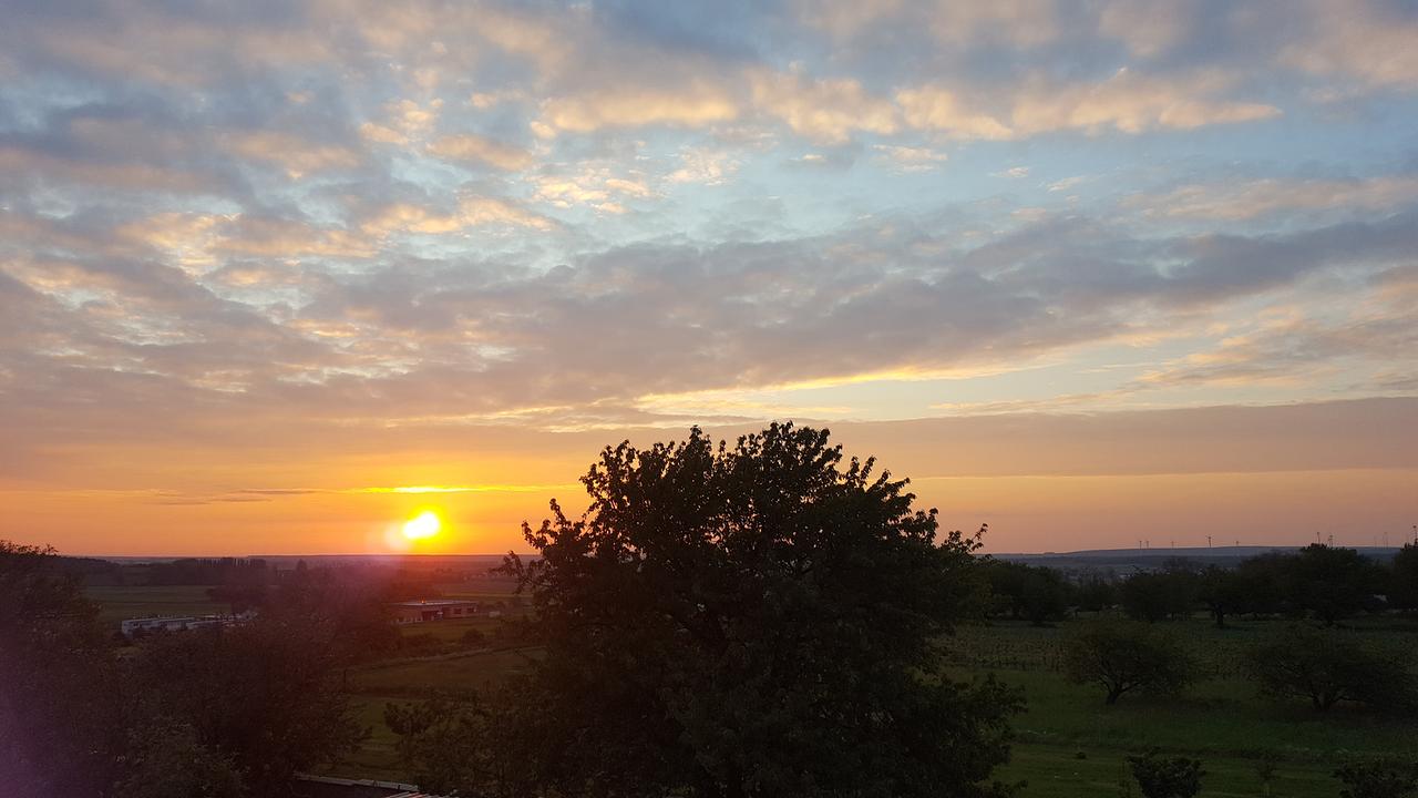 © ORF/Ab Hof TV Produktion Abendliche Landschaft mit Sonnenuntergang im Burgenland