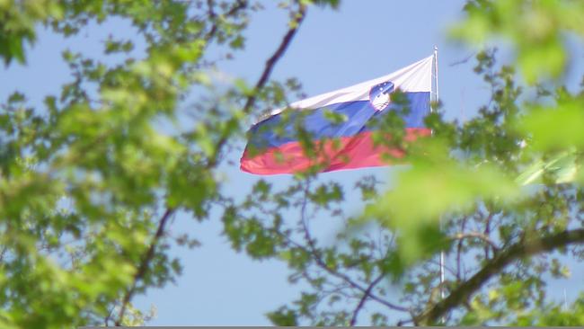 Slowenische Flagge im Wind