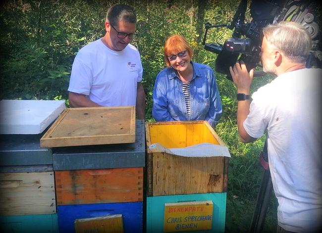 Chris Lohner bei Bienenstöcken in Niederösterreich
