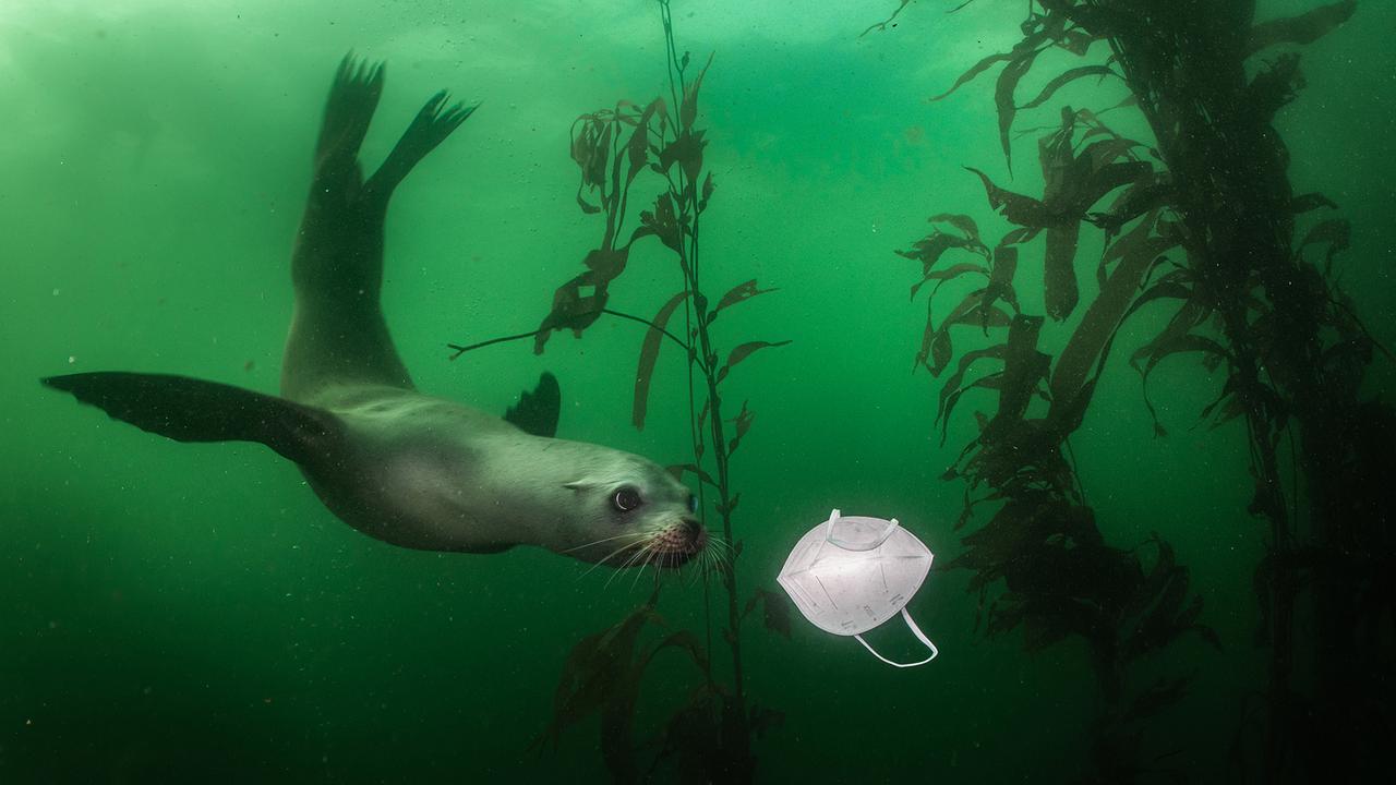 © Ralph Pace, United States ENVIRONMENT, SINGLES, 1st Prize