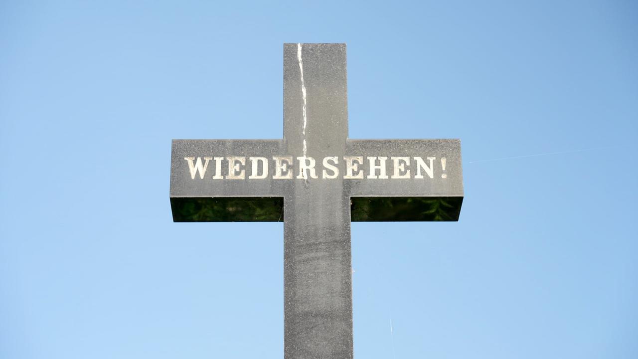 © ORF/Red Monster Film/Stefan Wolner Kreuz