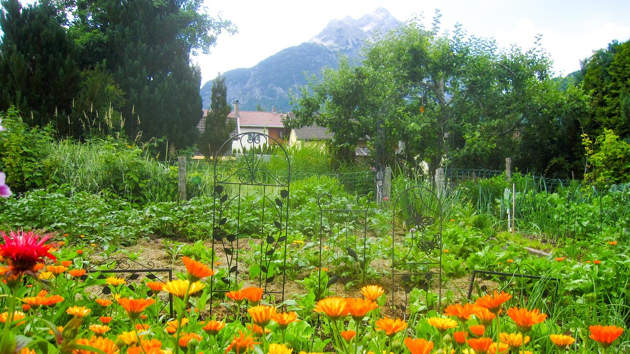 Gastgarten von Andrea Kärle im tirolerischen Stanzach