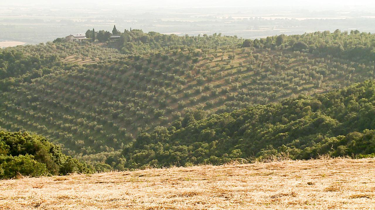 Maremma