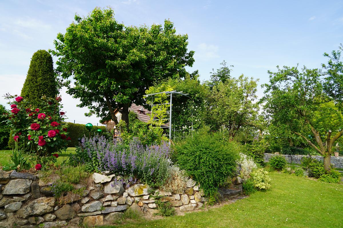  Der Garten von Eva Fexa in Loosdorf 