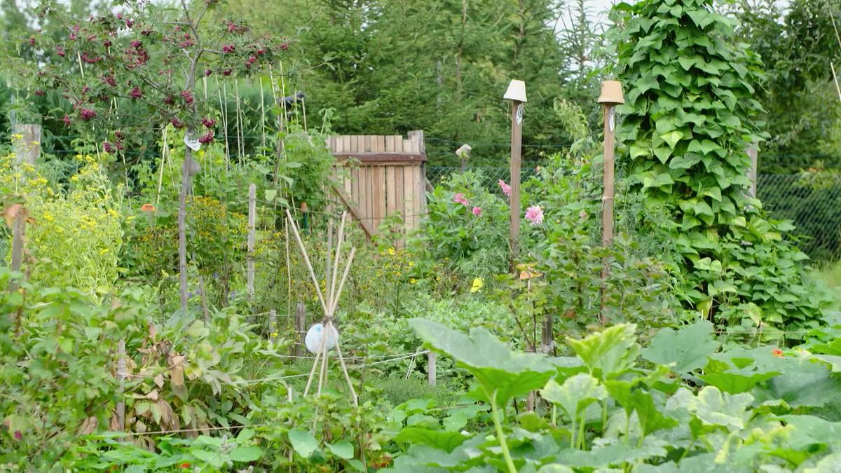 Atelier von Charis Schwinning in einem üppig blühenden Bauerngarten.