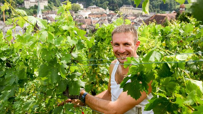 Christoph Fulterer, Weinbauer und Wirt des "Landgasthof Schäfle" in Feldkirch