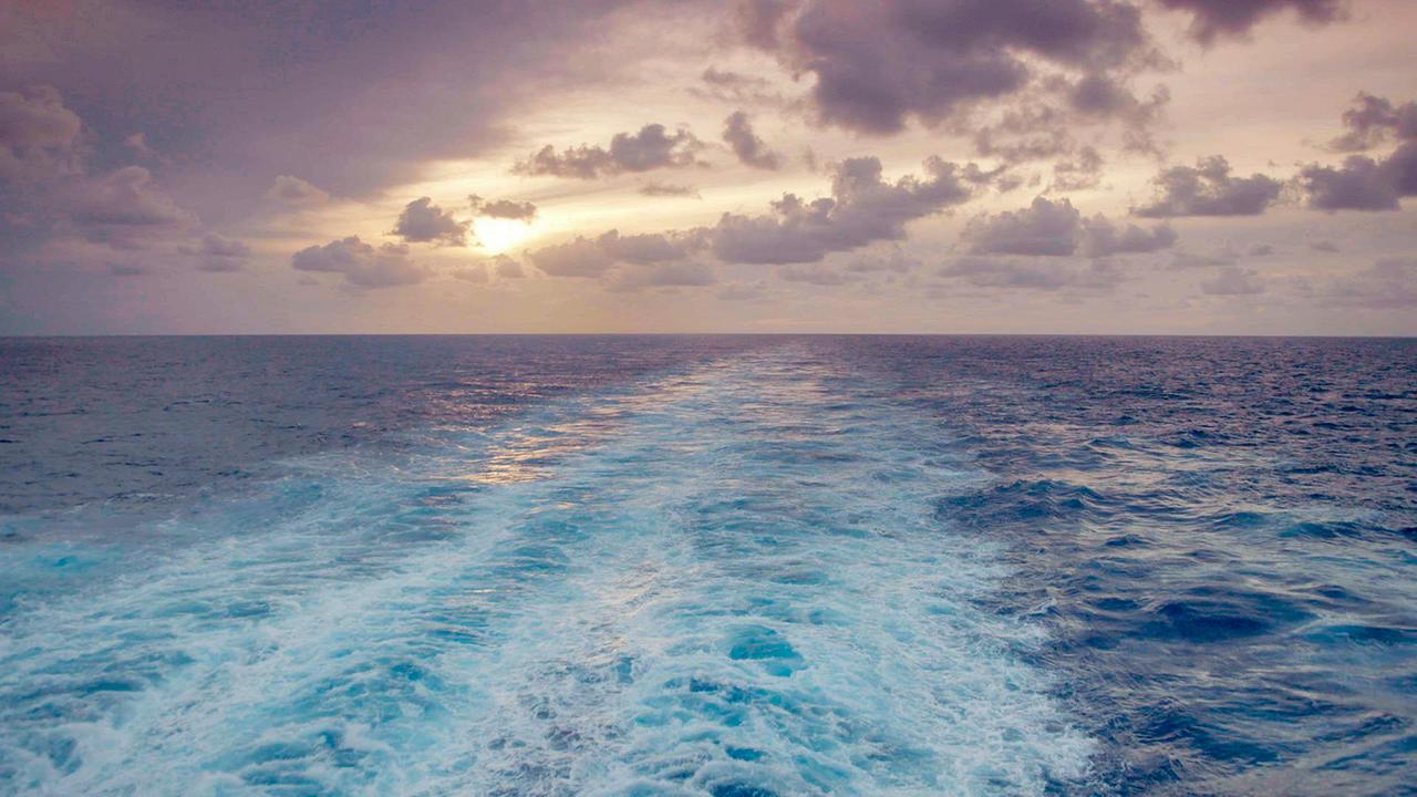 Blick vom Heck der Symphony of the Seas auf das karibische Meer