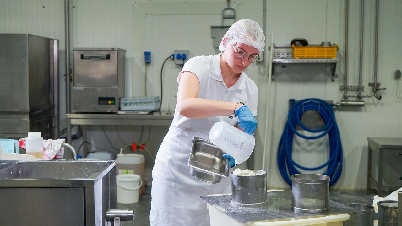 Käsemacher-Mitarbeiterin Marlene zeigt, wie Schafkäse gemacht wird