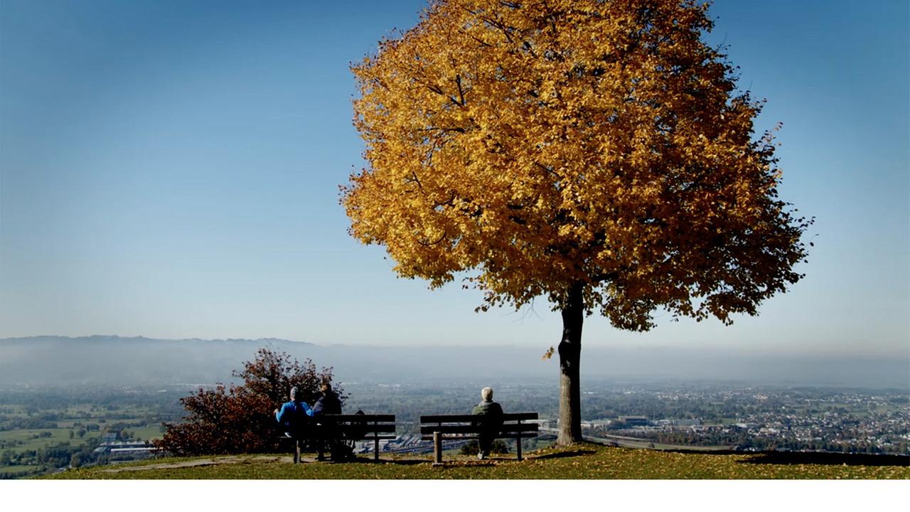 Aussichtspunkt Bildstein Baum im Herbst