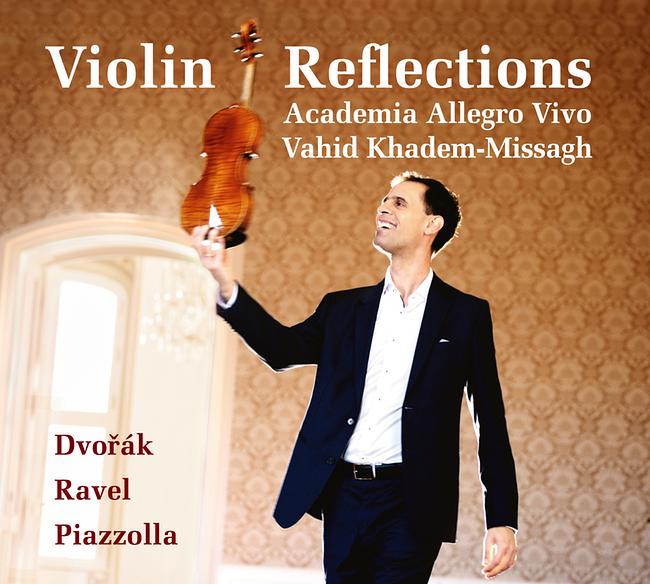 Violin reflections