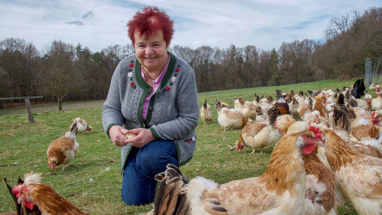 Hühnerflüsterin und Sulmtaler Hendl Züchterin Gertrude Strohmaier auf ihrem Hof in St. Andrä im Sausal