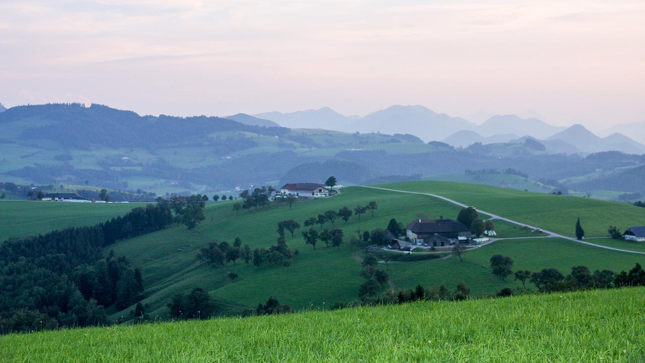 Höfe und Landschaft in Niederösterreich