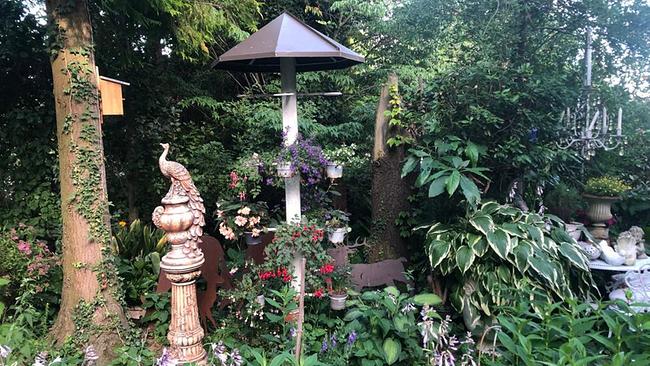 Elfenhaft und wild romantisch - das ist das Gartenparadies von Franziska Käfer im steirischen Stubenberg