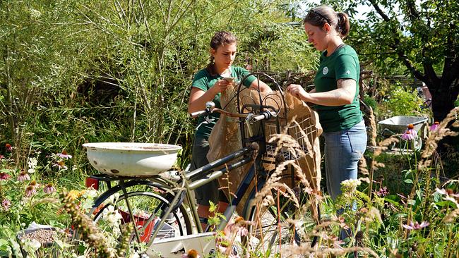 Wie ein altes Fahrrad mit viel Grün zu einem echten Blickfang im eigenen Garten werden kann, zeigen die Gärtnerinnen auf der Garten Tulln