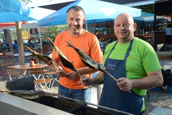 Gerhard Ebner und Arnold Hörmann, zwei Weltenbummler sind angekommen, am Campingplatz Au an der Donau, dem Tor zum Strudengau