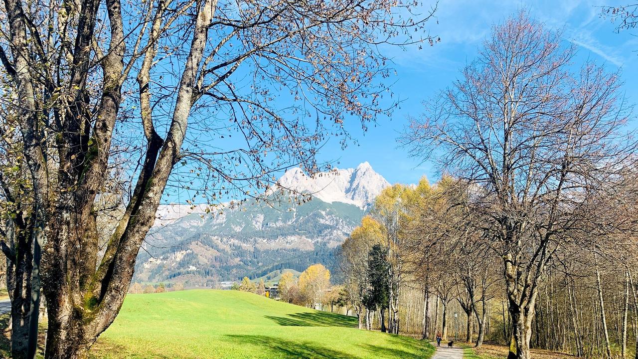 Landschaft Mitterpinzgau