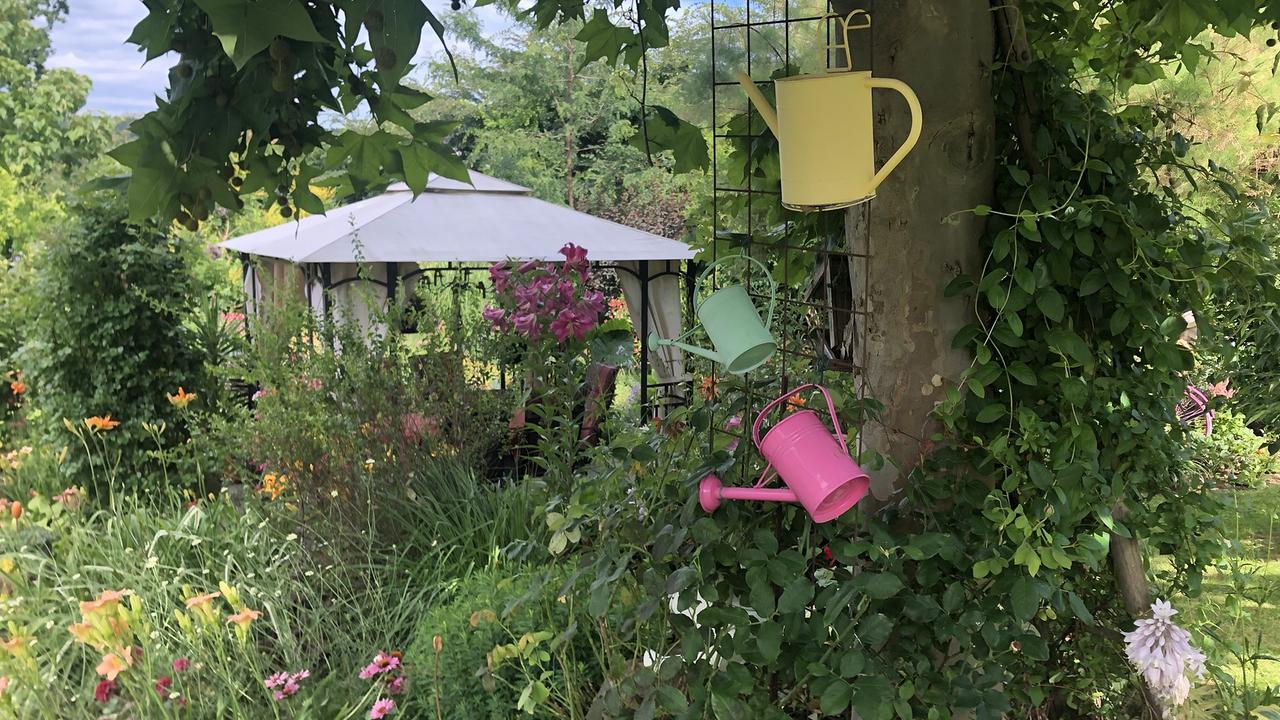 Einen Nostalgiegarten hat Brigitte Notter im steirischen Bad Waltersdorf angelegt