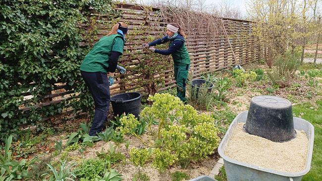 Die Gärtnerinnen auf der Garten Tulln präsentieren einen speziellen Naturgarten und geben Tipps, wie man Nützlinge durch die Schaffung von natürlichen Strukturen und Lebensräumen fördern kann