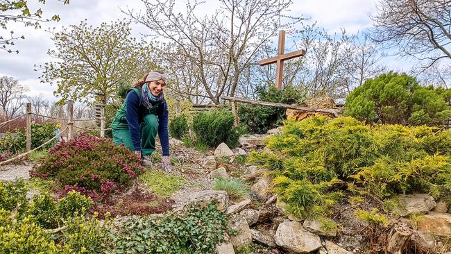 Die Gärtnerinnen präsentieren auf der Garten Tulln das Alpinum - einen Steingarten mit spezieller Alpenflora