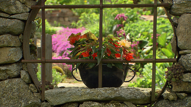 rundes Fenstergitter in alter Steinmauer mit Blumentopf - bepflanzt mit rotblühenden Blumen