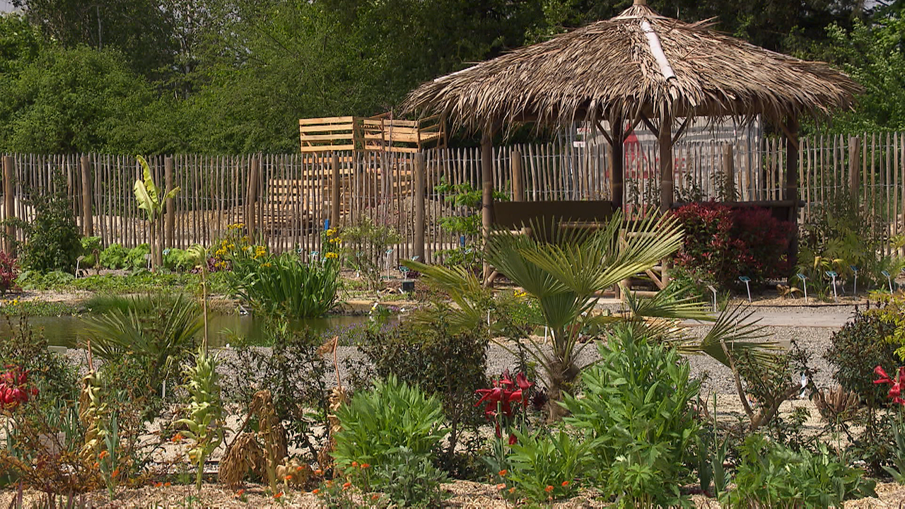 exotischer Garten mit kleinem Teich, kleinen Palmen und Hütte