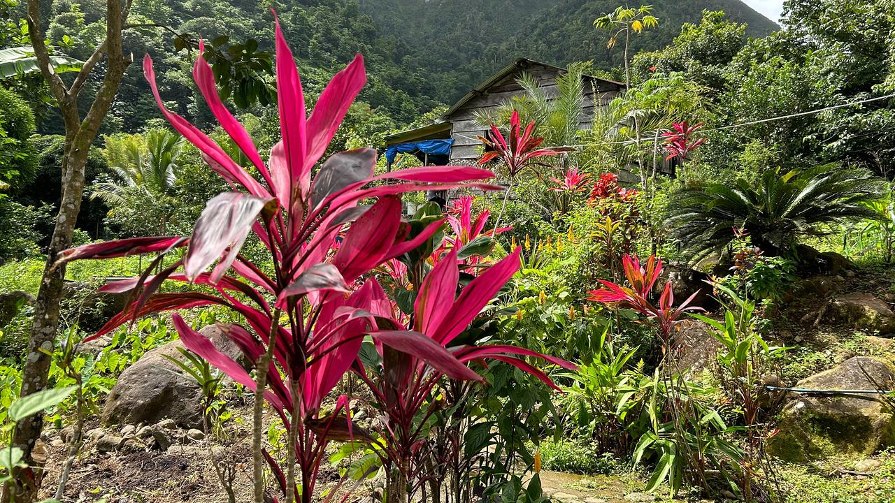 Kräutergärten von Moses Joseph James, Dominica
