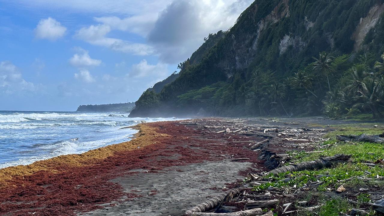 Das Paradies in der Ferne. Dominica - Die Naturinsel in der Karibik