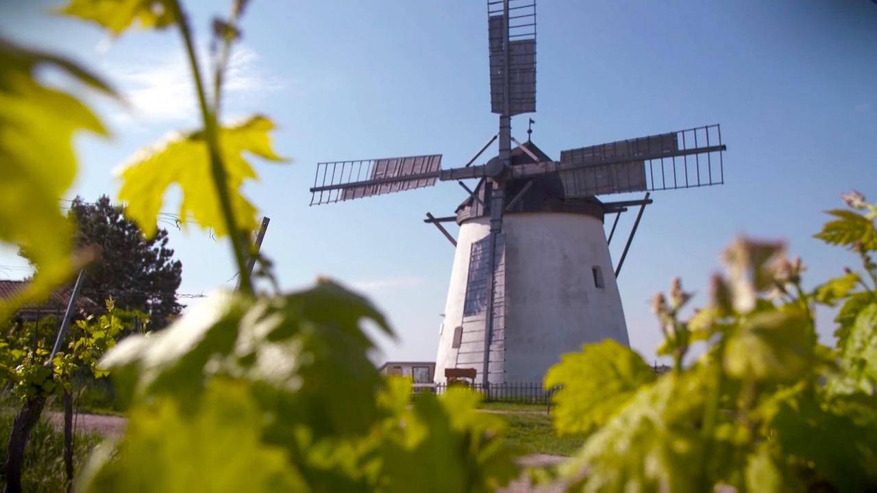 © ORF/Ab Hof TV Produktion Retzer Windmühle