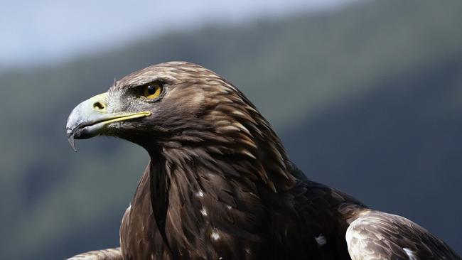 © ORF/Hubert Schönegger Neuschwanstein