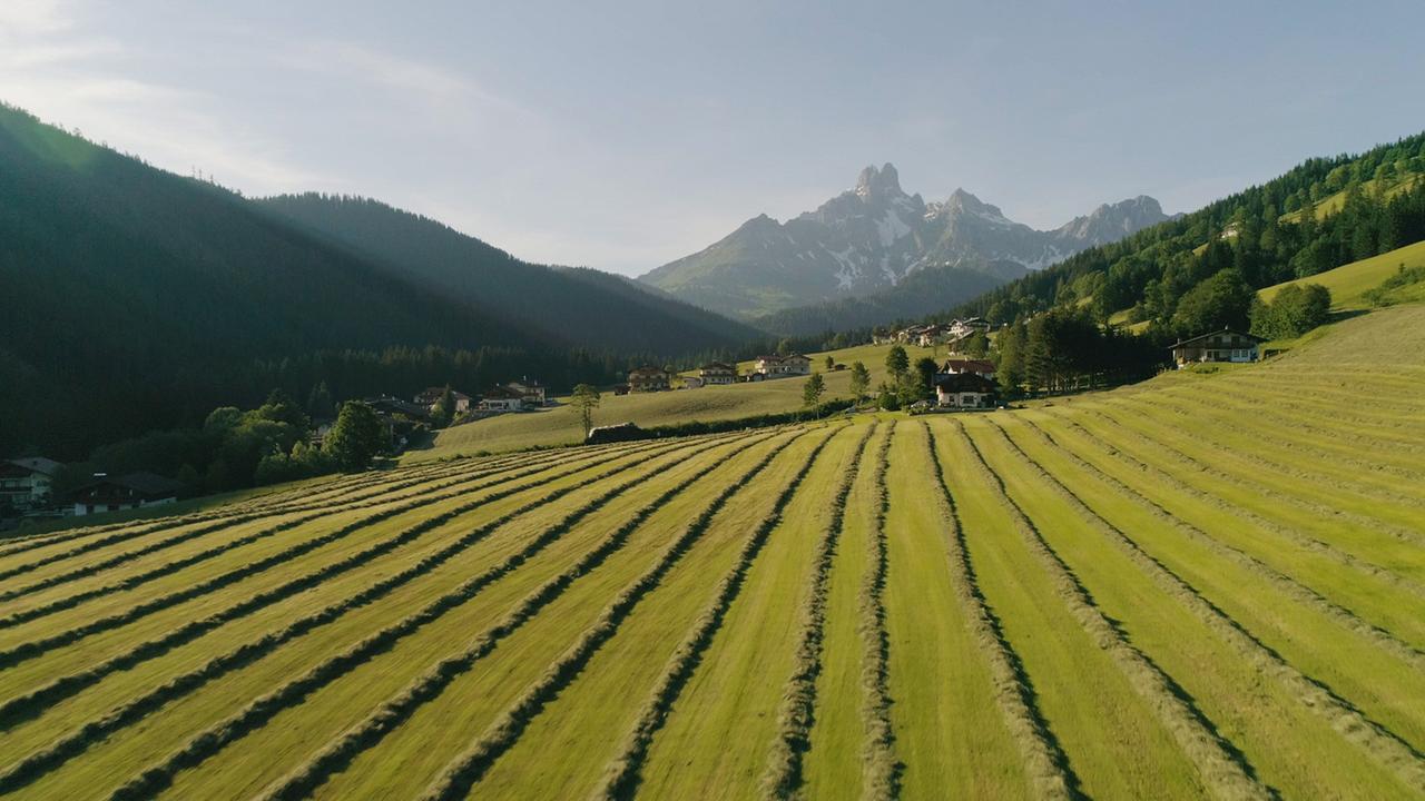 Esablisher Filzmoos - Hintergrund Bischofsmütze