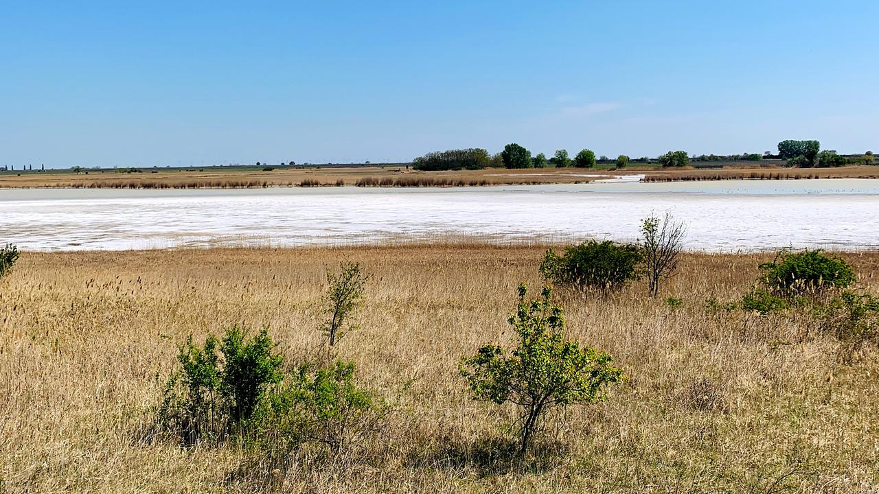 © ORF/Ab Hof TV Produktion Nationalpark Neusiedlersee - Seewinkel